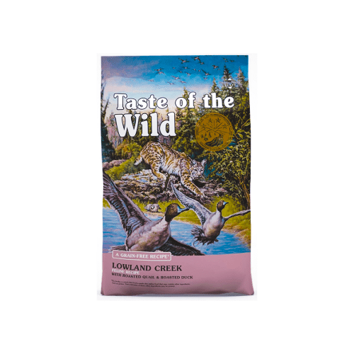 Taste of wild lowland creek