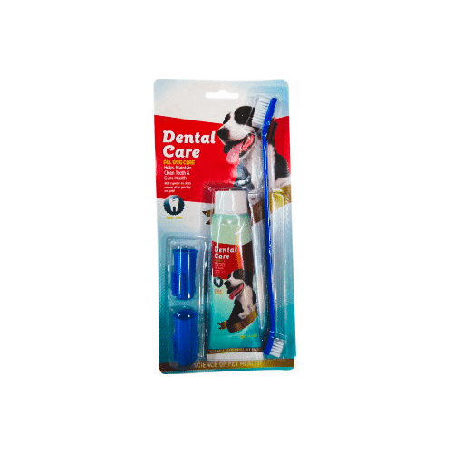 Kit dental