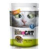 SNACK BR FOR CAT PLAY CATNIP 60GR Snack BR For Cat