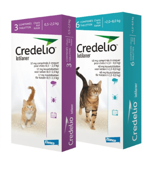 credelio gatos Credelio Gatos