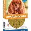 ADVANCEGATORENALX1_5KG Advocate perros