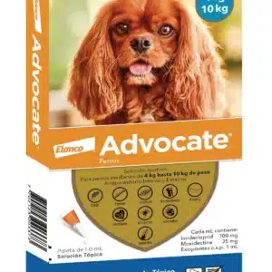 ADVANCEGATORENALX1_5KG Advocate perros