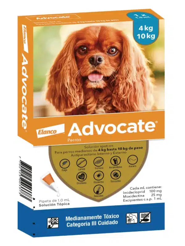 ADVANCEGATORENALX1_5KG Advocate perros