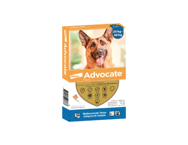 ADVANCEGATORENALX1_5KG Advocate perros